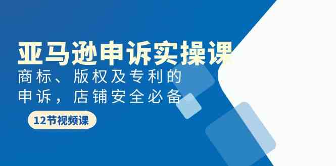 （9754期）亚马逊-申诉实战课，​商标、版权及专利的申诉，店铺安全必备-87副业网