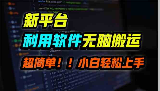 （9745期）新平台用软件无脑搬运，月赚10000+，小白也能轻松上手-87副业网