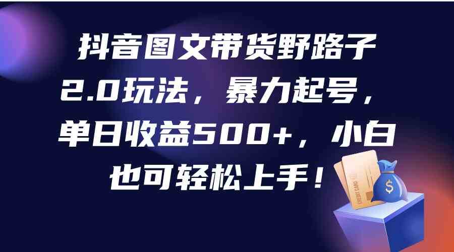 （9790期）抖音图文带货野路子2.0玩法，暴力起号，单日收益500+，小白也可轻松上手！-87副业网