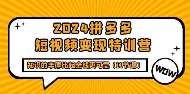 （9817期）2024拼多多短视频变现特训营，知识的丰厚比起金钱更可靠（11节课）-87副业网