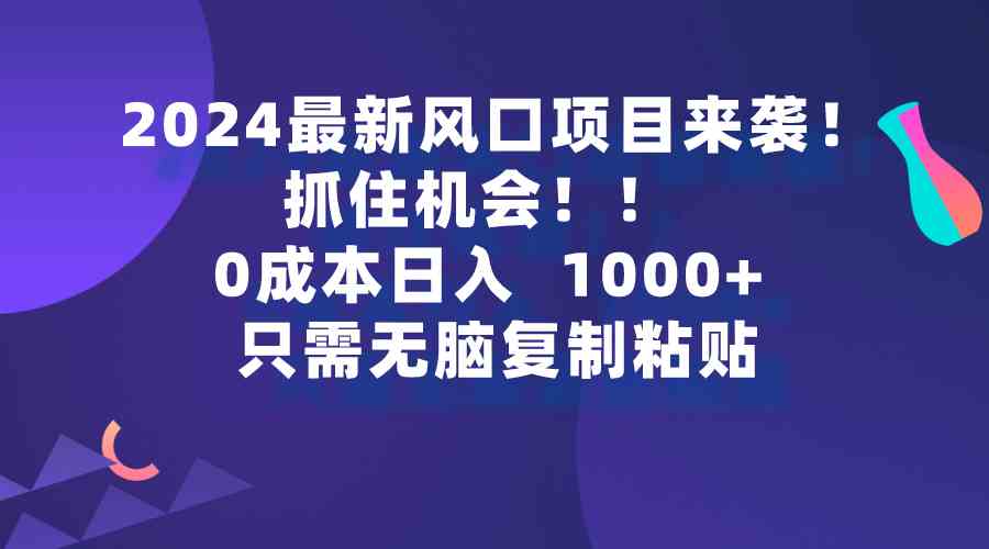 （9899期）2024最新风口项目来袭，抓住机会，0成本一部手机日入1000+，只需无脑复…-87副业网