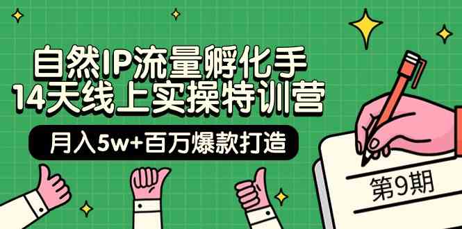 （9881期）自然IP流量孵化手 14天线上实操特训营【第9期】月入5w+百万爆款打造 (74节)-87副业网