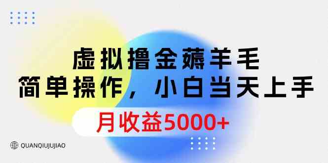 （9864期）虚拟撸金薅羊毛，简单操作，小白当天上手，月收益5000+-87副业网