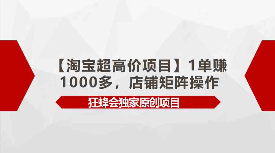 （9849期）【淘宝超高价项目】1单赚1000多，店铺矩阵操作-87副业网