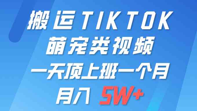 （9931期）一键搬运TIKTOK萌宠类视频 一部手机即可操作 所有平台均可发布 轻松月入5W+-87副业网