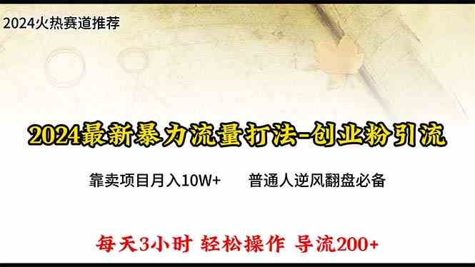 （10151期）2024年最新暴力流量打法，每日导入300+，靠卖项目月入10W+-87副业网