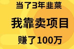 （10149期）当了3年韭菜，我靠卖项目赚了100万-87副业网