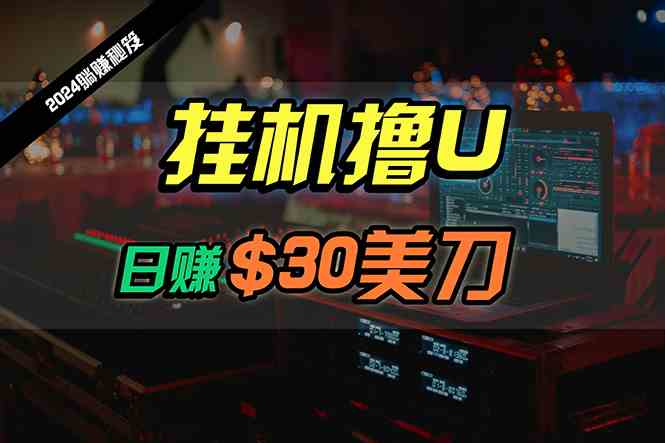 （10013期）日赚30美刀，2024最新海外挂机撸U内部项目，全程无人值守，可批量放大-87副业网