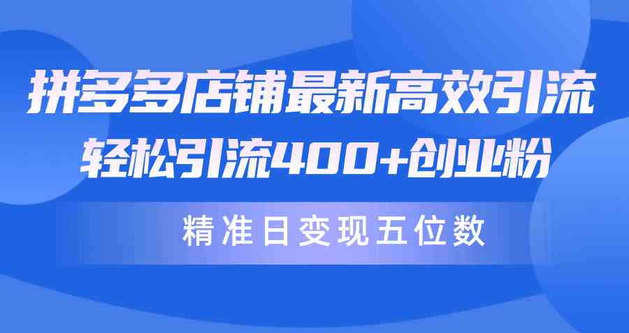 （10041期）拼多多店铺最新高效引流术，轻松引流400+创业粉，精准日变现五位数！-87副业网