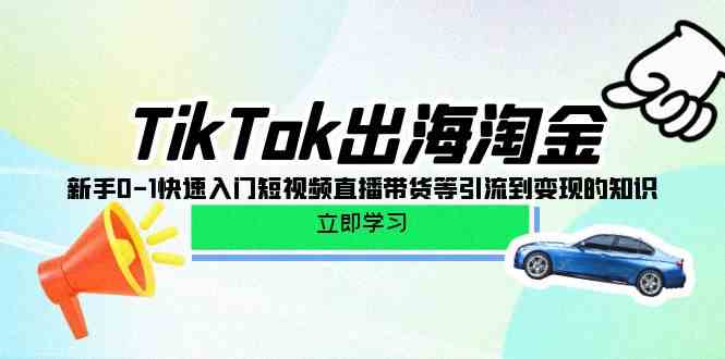 （10035期）TikTok-出海淘金，新手0-1快速入门短视频直播带货等引流到变现的知识-87副业网