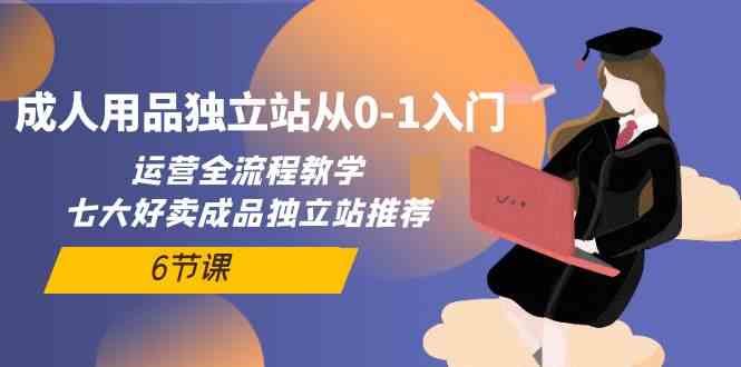 （10082期）成人用品独立站从0-1入门，运营全流程教学，七大好卖成品独立站推荐-6节课-87副业网