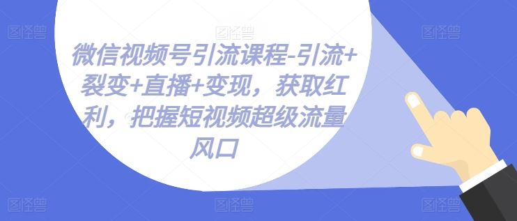 微信视频号引流课程-引流+裂变+直播+变现，获取红利，把握短视频超级流量风口-87副业网