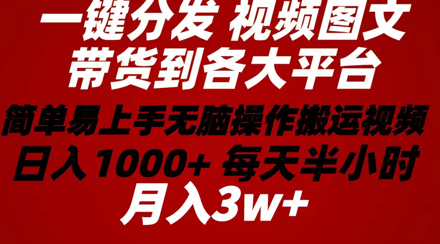 （10667期）2024年 一键分发带货图文视频  简单易上手 无脑赚收益 每天半小时日入1…-87副业网