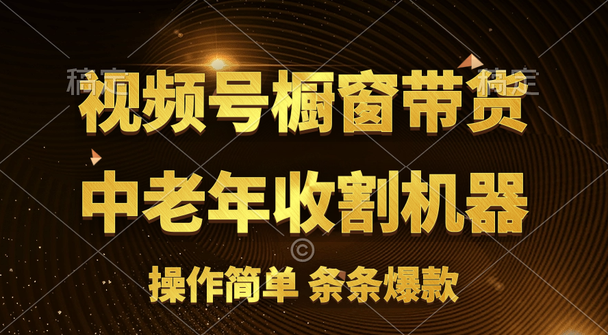 （11009期）[你的孩子成功取得高位]视频号最火爆赛道，橱窗带货，流量分成计划，条…-87副业网