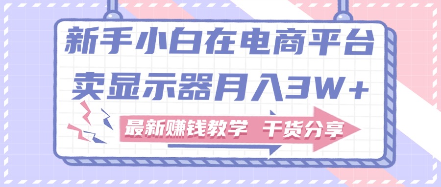 （11053期）新手小白如何做到在电商平台卖显示器月入3W+，最新赚钱教学干货分享-87副业网