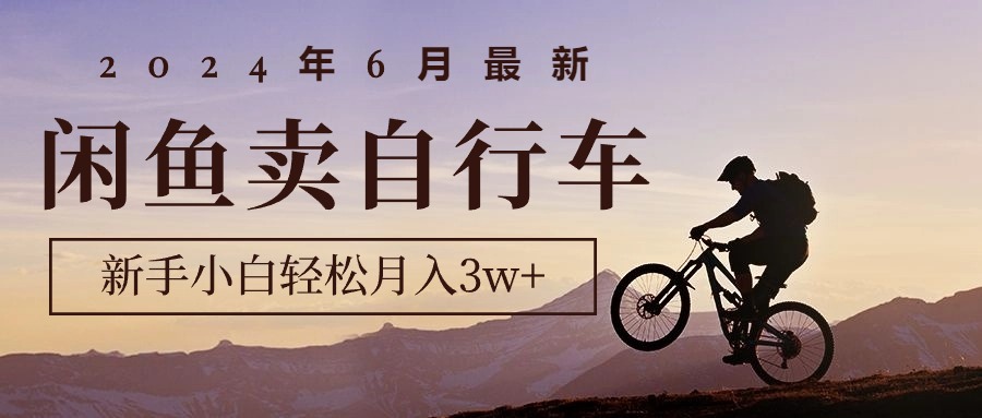 （10915期）2024年6月最新闲鱼卖自行车，新手小白轻松月入3w+项目-87副业网