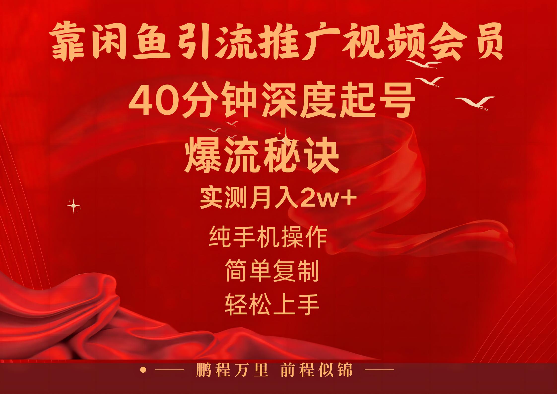 （10896期）闲鱼暴力引流推广视频会员，能做到日入2W+，操作简单-87副业网