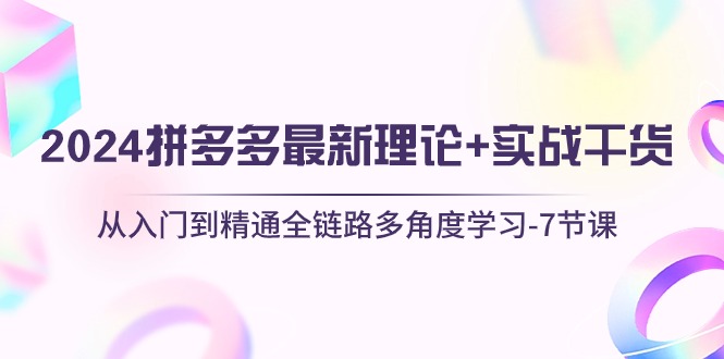 （10816期）2024拼多多 最新理论+实战干货，从入门到精通全链路多角度学习-7节课-87副业网