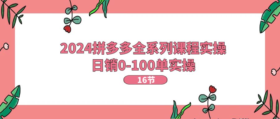 （11222期）2024拼多多全系列课程实操，日销0-100单实操【16节课】-87副业网