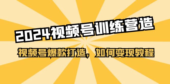 （11135期）2024视频号训练营，视频号爆款打造，如何变现教程（20节课）-87副业网