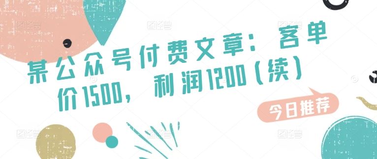 某公众号付费文章：客单价1500，利润1200(续)，市场几乎可以说是空白的-87副业网