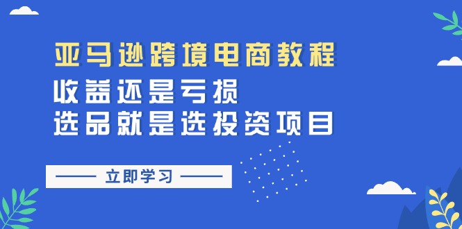 （11432期）亚马逊跨境电商教程：收益还是亏损！选品就是选投资项目-87副业网