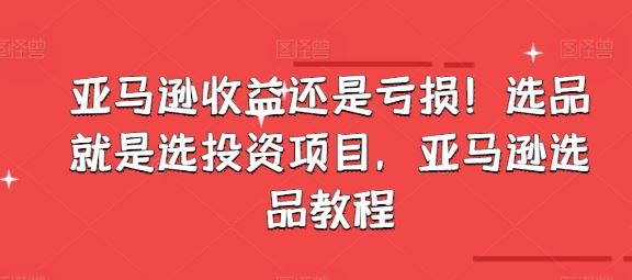 亚马逊收益还是亏损！选品就是选投资项目，亚马逊选品教程-87副业网