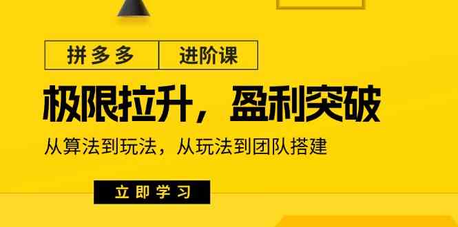 拼多多进阶课：极限拉升/盈利突破：从算法到玩法 从玩法到团队搭建（18节）-87副业网