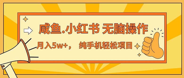 （11524期）2024最赚钱的项目，咸鱼，小红书无脑操作，每单利润500+，轻松月入5万+…-87副业网