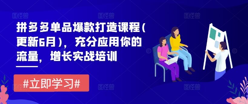 拼多多单品爆款打造课程(更新6月)，充分应用你的流量，增长实战培训-87副业网