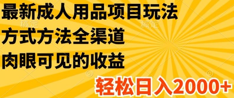 最新成人用品项目玩法，方式方法全渠道，轻松日入2K+【揭秘】-87副业网