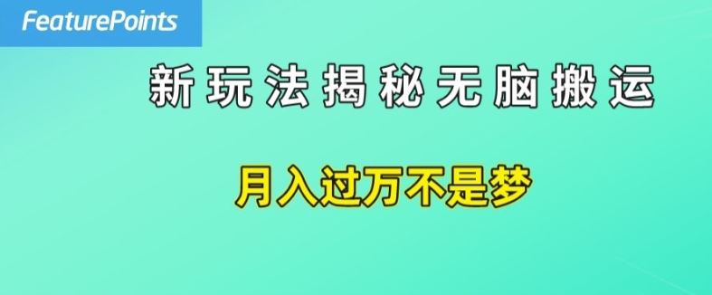 简单操作，每天50美元收入，搬运就是赚钱的秘诀【揭秘】-87副业网