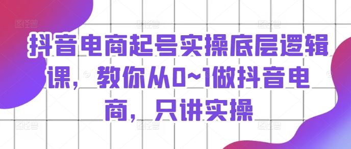 抖音电商起号实操底层逻辑课，教你从0~1做抖音电商，只讲实操-87副业网