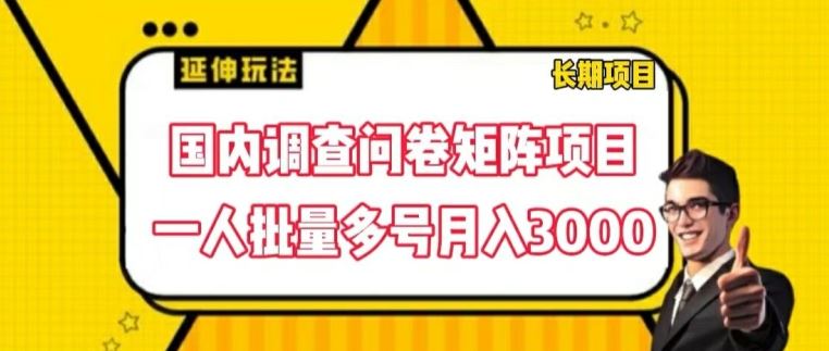 国内调查问卷矩阵项目，一人批量多号月入3000【揭秘】-87副业网