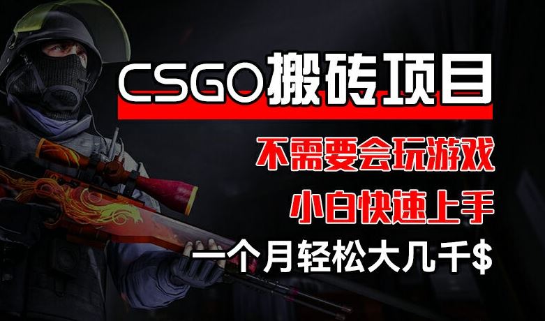 CSGO 装备搬砖项目，操作简单，不需要会玩游戏，小白也能快速上手，一个月轻松大几千【揭秘】-87副业网