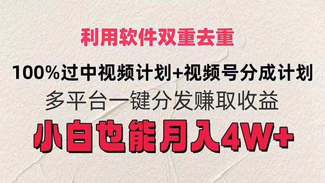 （11862期）利用软件双重去重，100%过中视频+视频号分成计划小白也可以月入4W+-87副业网