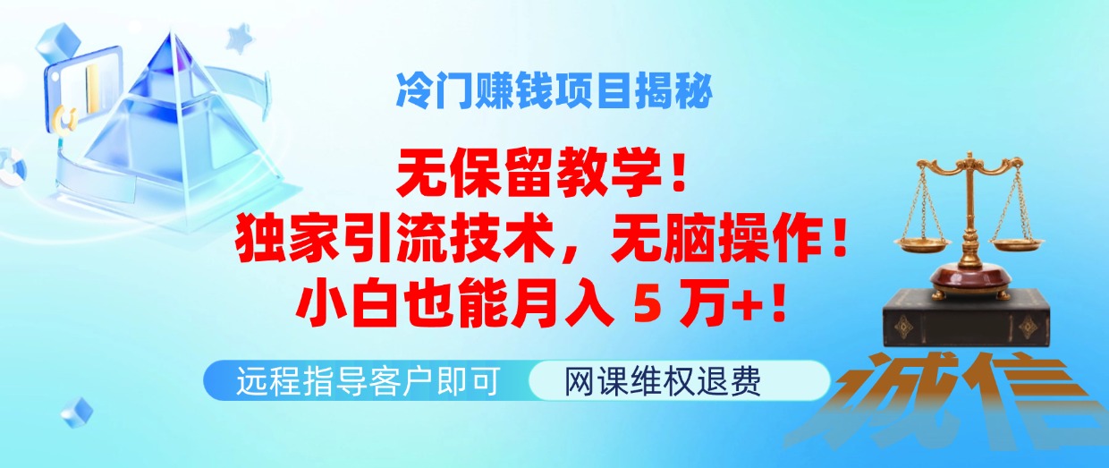 （11864期）冷门赚钱项目无保留教学！独家引流技术，无脑操作！小白也能月入5万+！-87副业网