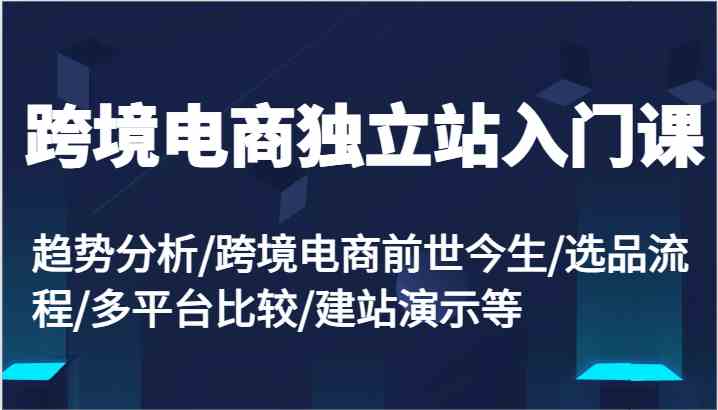 跨境电商独立站入门课：趋势分析/跨境电商前世今生/选品流程/多平台比较/建站演示等-87副业网