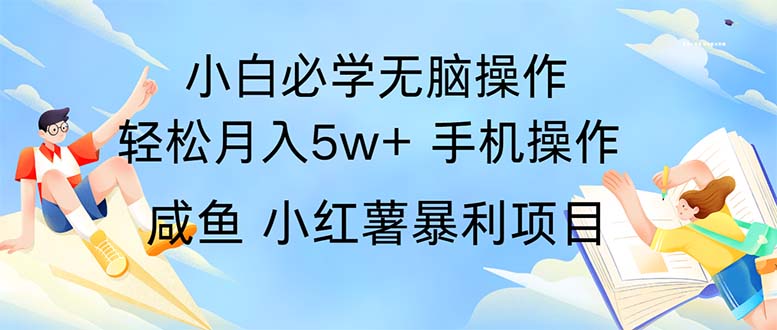 （11953期）2024热门暴利手机操作项目，简单无脑操作，每单利润最少500-87副业网