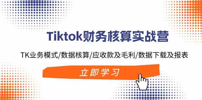 Tiktok财务核算实战营：TK业务模式/数据核算/应收款及毛利/数据下载及报表-87副业网