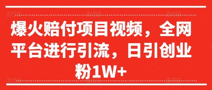 爆火赔付项目视频，全网平台进行引流，日引创业粉1W+【揭秘】-87副业网