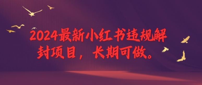 2024最新小红书违规解封项目，长期可做，一个可以做到退休的项目【揭秘】-87副业网