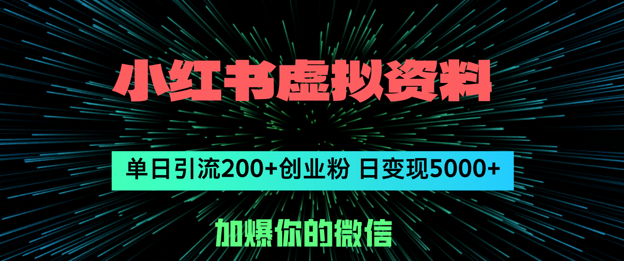 （12164期）小红书虚拟资料日引流200+创业粉，单日变现5000+-87副业网