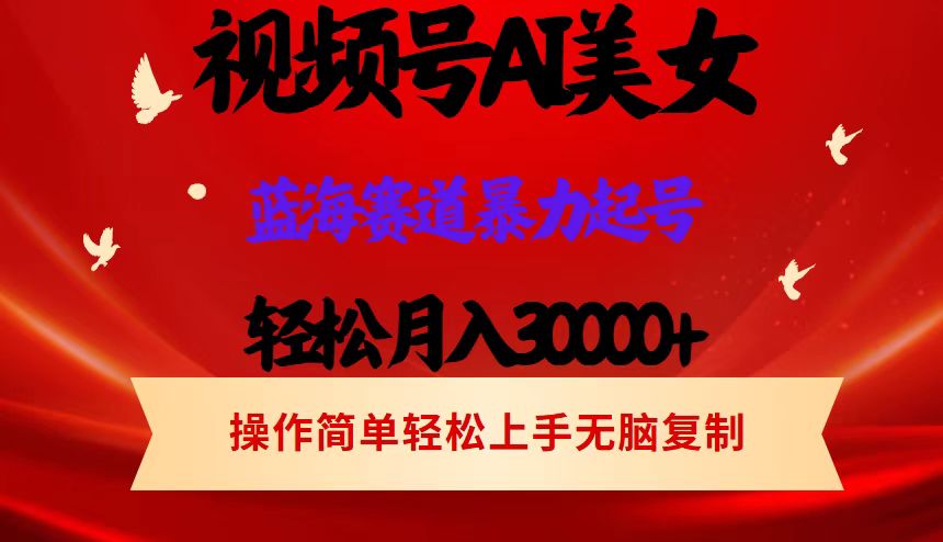 （12178期）视频号AI美女跳舞，轻松月入30000+，蓝海赛道，流量池巨大，起号猛，当…-87副业网