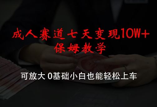 成人赛道七天变现10W+保姆教学，可放大，0基础小白也能轻松上车【揭秘】-87副业网