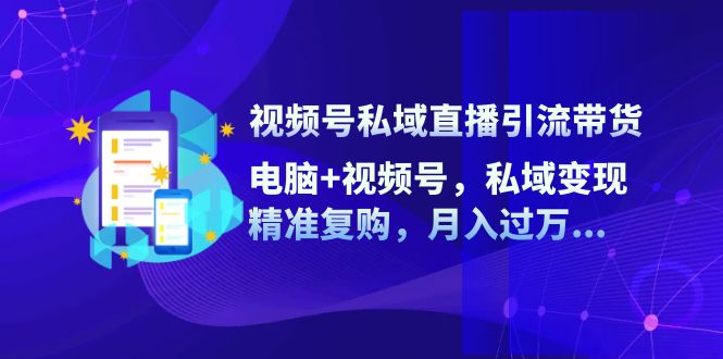 （12249期）视频号私域直播引流带货：电脑+视频号，私域变现，精准复购，月入过万…-87副业网