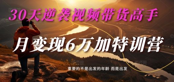 30天逆袭视频带货高手，单月变现6万加特训营-麦子甜-87副业网