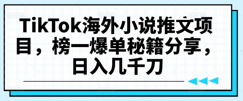 TikTok海外小说推文项目，榜一爆单秘籍分享，日入几千刀-87副业网