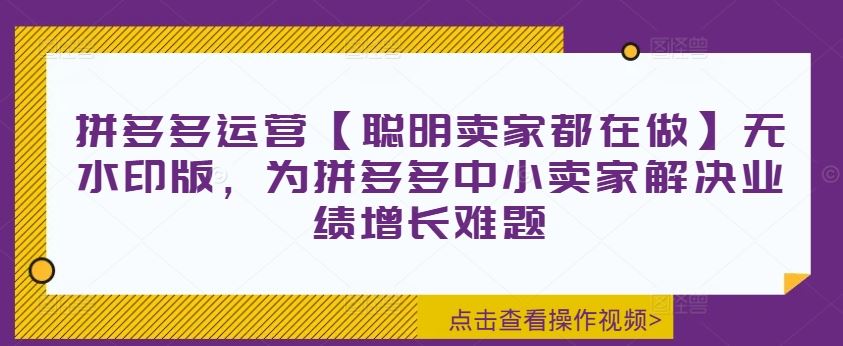 拼多多运营【聪明卖家都在做】无水印版，为拼多多中小卖家解决业绩增长难题-87副业网