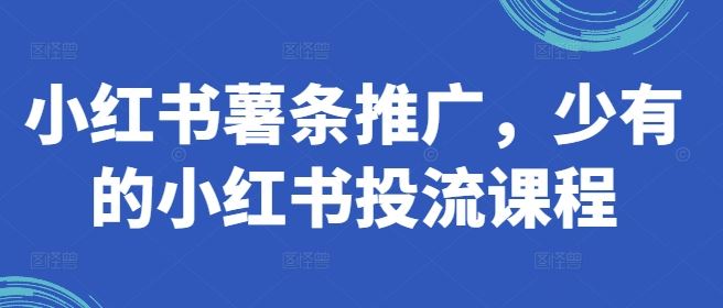 小红书薯条推广，少有的小红书投流课程-87副业网